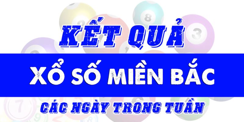 Theo dõi kết quả xổ số miền bắc mỗi ngày