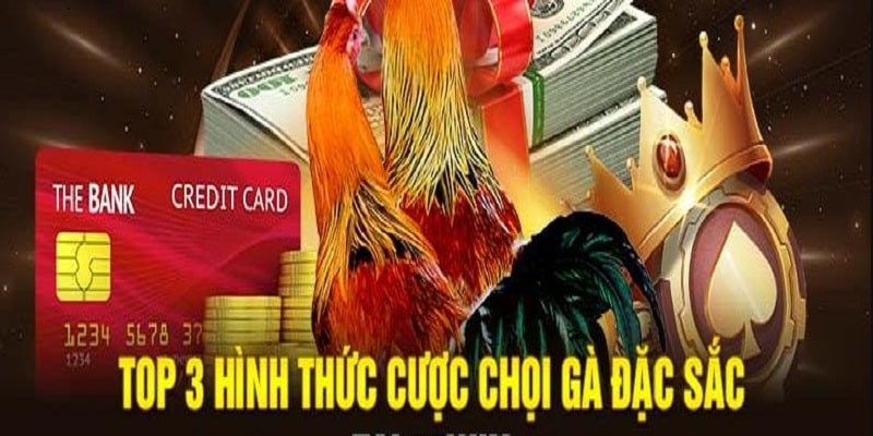 Các hình thức trực tiếp đá gà kịch tính và lôi cuốn