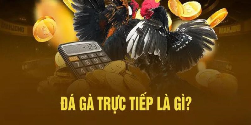 Trực Tiếp Đá Gà 88CLB 