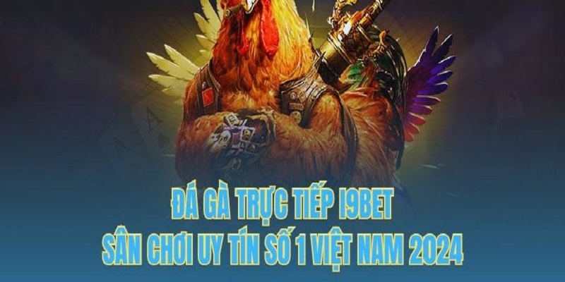 TRỰC TIẾP ĐÁ GÀ 88CLB